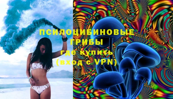 мет Алексин