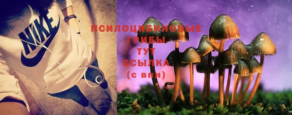 тгк Аркадак