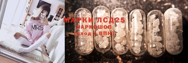 гашик Алзамай