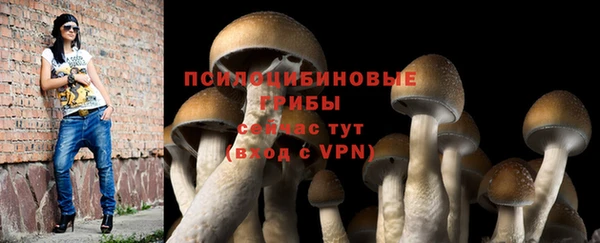 ПСИЛОЦИБИНОВЫЕ ГРИБЫ Алексеевка